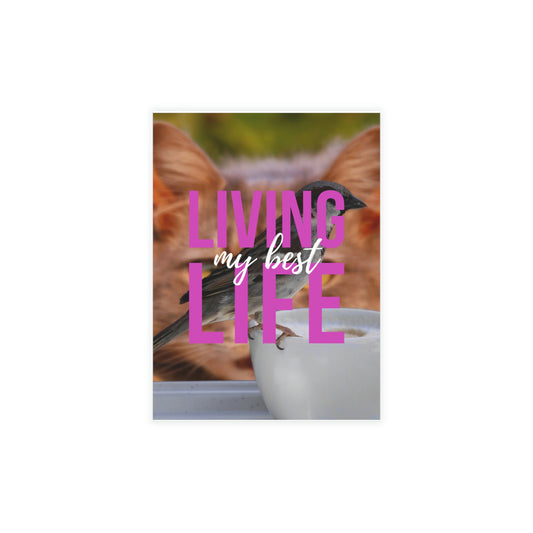 Greeting Card Bundles (envelopes included)