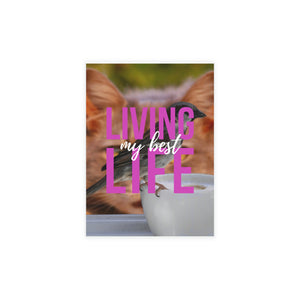 Greeting Card Bundles (envelopes included)