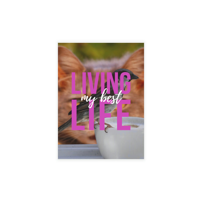 Greeting Card Bundles (envelopes included)